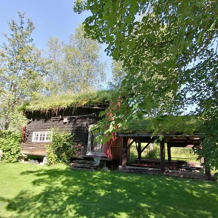Lensmansgarden Fjosen Lejlighed Innfjorden Eksteriør billede